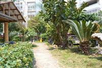 鸣大花园实景图