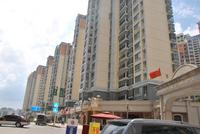维也纳森林实景图(6.4)
