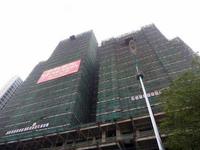 华鹏国际 2013.1.23 实景图