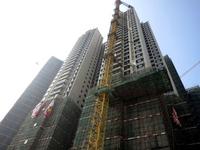 华鹏国际 2013.1.23 实景图