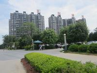 汇东星城实景图(6.4)