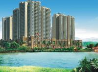 华鹏国际 效果图