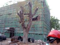 茶江华府实景图