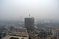 B栋C1户型可观赏的风景