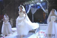 美泉1612“仲夏夜之梦”晚会（8.17）