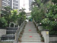 升禾绿城世界实景图(8.13)