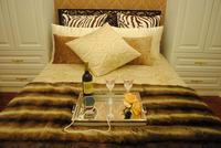 东涫首座 样板房