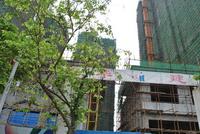 魅力首座6月5日工程进度