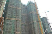 魅力首座6月5日工程进度