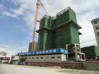 2013.06.06裕丰·荔园实景图