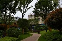 兴进臻园实景图2013.5.12
