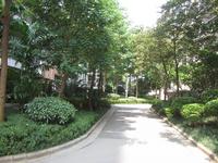 2013.8.20阳光城实景图