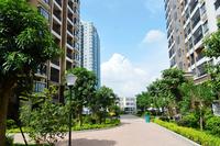 启美新城园林实景(6.25)