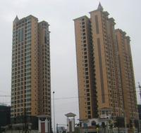 桐洋国际海岸实景