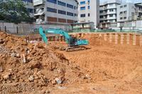 金鹅福地 实景图