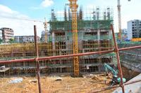 金鹅福地 实景图