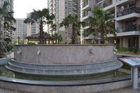 鑫丰丽景实景图2013-1-25