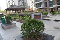 鑫丰丽景实景图2013-1-25