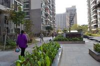 鑫丰丽景实景图2013-1-25