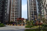 鑫丰丽景实景图2013-1-25