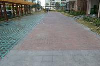 鑫丰丽景实景图2013-1-25