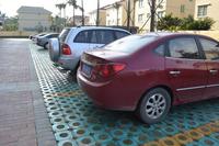 鑫丰丽景实景图2013-1-25