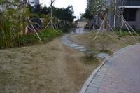 鑫丰丽景实景图2013-1-25