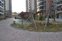 鑫丰丽景实景图2013-1-25