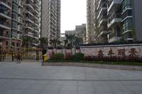 鑫丰丽景实景图2013-1-25