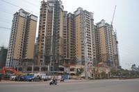 大都·塞纳湖畔2013年1月份实景图
