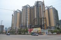 大都·塞纳湖畔2013年1月份实景图