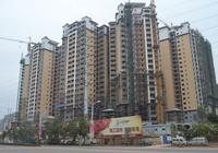 大都·塞纳湖畔2013年1月份实景图