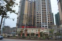 大都·塞纳湖畔2013年1月份实景图
