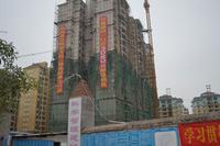 明基花园2013年1月份实景图