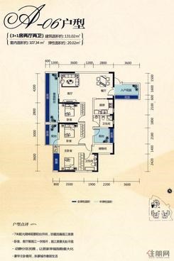 【A-06户型】3室2厅2卫1厨3阳台