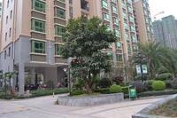 安得·国际华城2013年1月份实景图