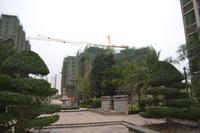安得·国际华城2013年1月份实景图