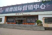 成德国际贸易广场2013年1月份实景图