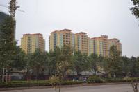 中原新都2013年1月份实景图