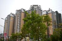大都塞纳湖畔2013.3.27实景图