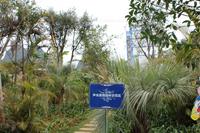 声光景观园林示范区