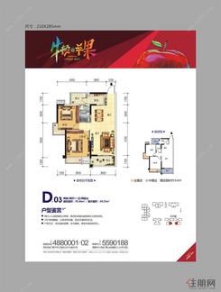 【D-03户型】2室1卫1厨2阳台