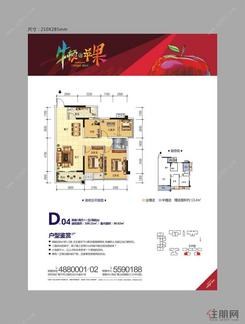 【D-04户型】2室2厅1卫1厨2阳台