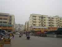 荣宝华实景图(12.11)