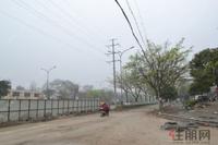 兴进臻园规划路实景图