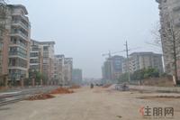 兴进臻园规划路实景图