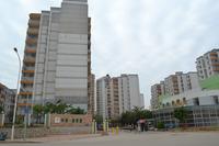 中房碧翠园A区实景图(11.19)