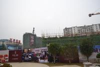 兴进·臻园园林实景图