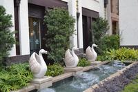 兴进·臻园园林实景图