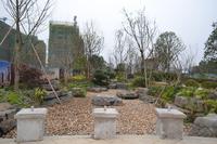 兴进·臻园园林实景图